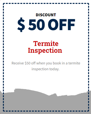 termite inspection brisbane