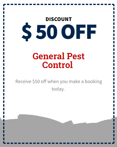 Pest Control Brisbane