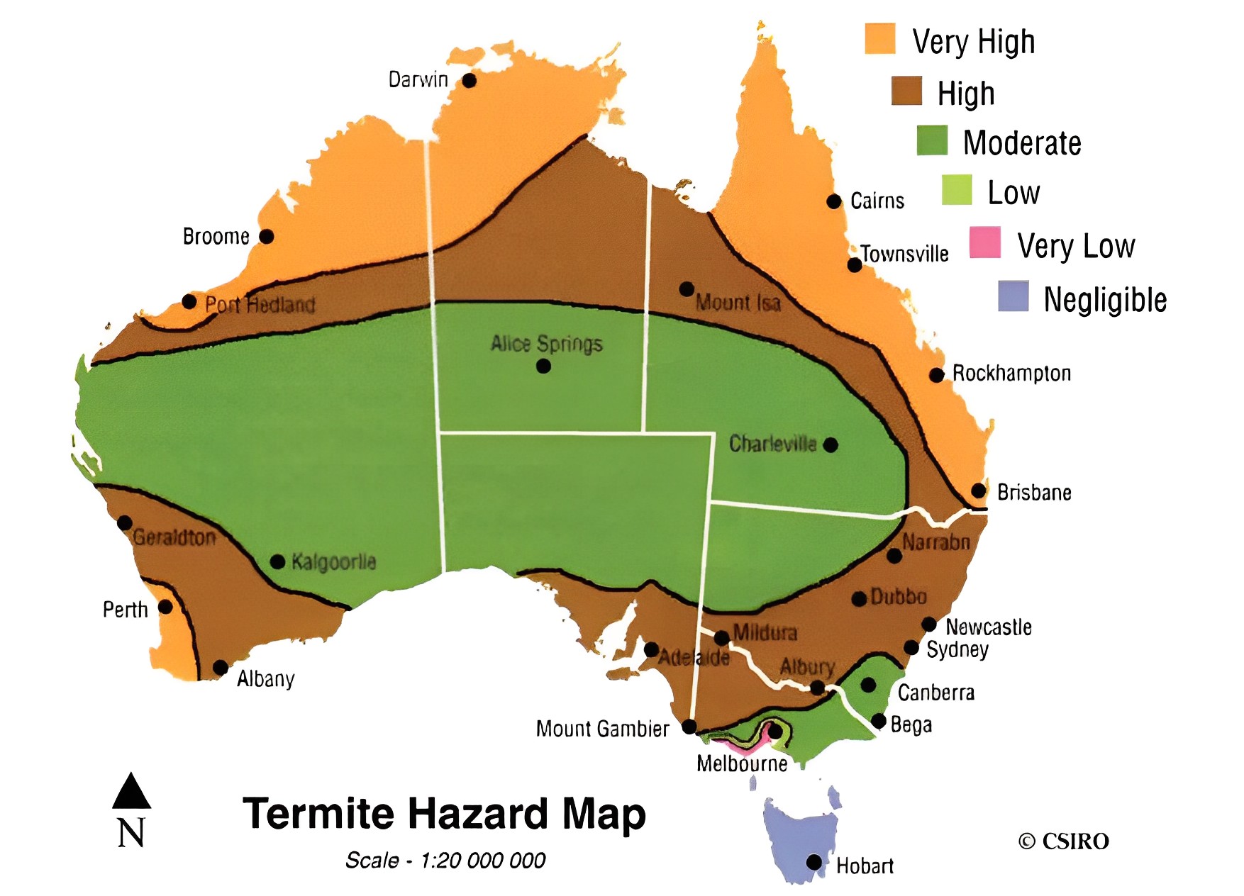 about-termites-heatmap-termite-trap (1)